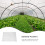 Filme Anticongelante Para Plantas De 11