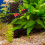 Fish Tank Decorations Diver Statue Figurine Floating Pendant 5
