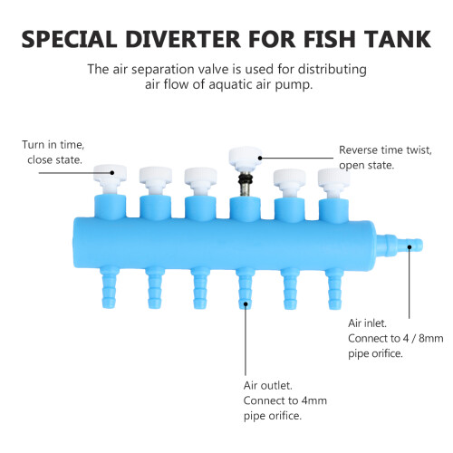 Aquarium De Com E Divisor De 2