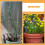 50 Unidades Suportes De Para Plantas 9