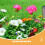 50 Unidades Suportes De Para Plantas 8