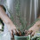 50 Unidades Suportes De Para Plantas 4