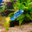 Fish Tank Decorations Diver Statue Figurine Floating Pendant Aquarium 3