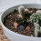 12 Unidades Mini Decorativo Cogumelos 9