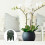 100 Unidades Conjunto De Para Suporte Plantas 2
