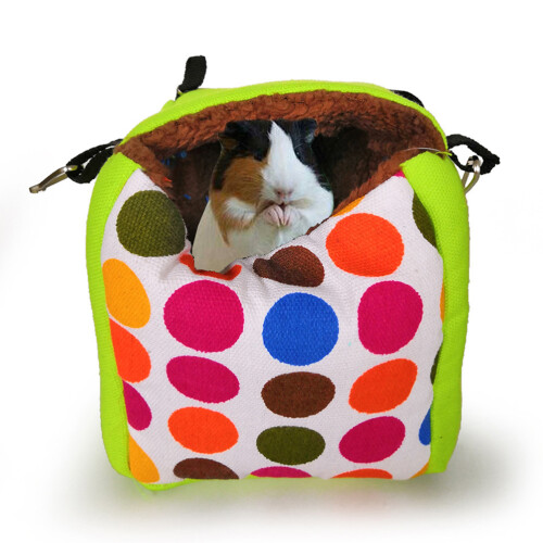 1 Estampada Para Roedor, Inverno 1