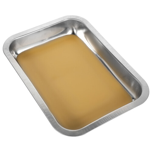 1Bac Plateau Inox Pour Dissection À Usage Éducatif Argent