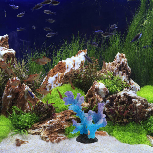 1 Decoração Resina Coral Artificiais 2