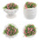 4Pcs Miniatura Bonsai Para Casa De Bonecas Artificial 11
