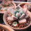 4Pcs Miniatura Bonsai Para Casa De Bonecas Artificial 7