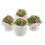 4Pcs Miniatura Bonsai Para Casa De Bonecas Artificial 9