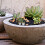 4Pcs Miniatura Bonsai Para Casa De Bonecas Artificial 5