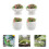4Pcs Miniatura Bonsai Para Casa De Bonecas Artificial 10