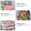 2 De Flor Real Para Artesanato E Decoração 10