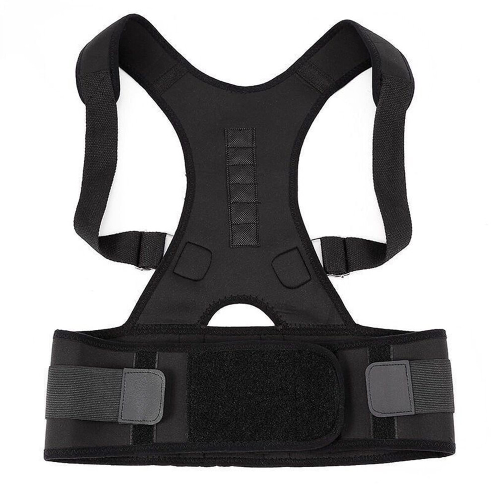 Back corrector for adults, back corset, posture correction, brace, support belt (Color: B, F XXL)
