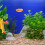 Fish Tank Layout Prop Decoração Fluorescente Plástico 11