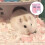 1 Para Hamster Villa Dois Abrigo Brinquedo 5