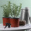 4 Pcs Plástico Reutilizável Para Regador De Plantas De 7