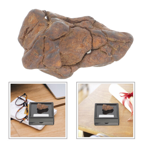 Meteorolite Model Specimen For Classroom Teaching And Decoration 2