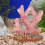2 Unidades Enfeite Coral Resina Decoração 11