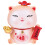 Fortune Cat Armazenamento Dinheiro Moedas 1
