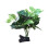 Planta Aquática Para Decoração Pequeno 1