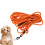 De Ao Para Cachorro ( , 10mm, 3m) 9