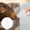 Lamb Flessen Voeren Dier Met Handvat 8