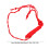Rope Halter And Training Halter Red 2