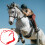 Rope Halter And Training Halter Red 7