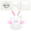Conjunto Coelho Com Orelhas, Cauda, Luvas E Tutu 10