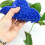 2 Unidades Alicate Remover Espinhos De Rosa Plástico 4