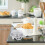 50 Stuks Puddingflessen Mousse Servierflessen Bakbeker Gevarieerd 10