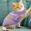 Dog Sweaters De Com Para Cães E 4