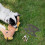 1Jgo Soporte Para Mascotas Instalación Durable 8