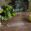 Panneau de Table en arc acrylique vierge, panneau transparent-B 6
