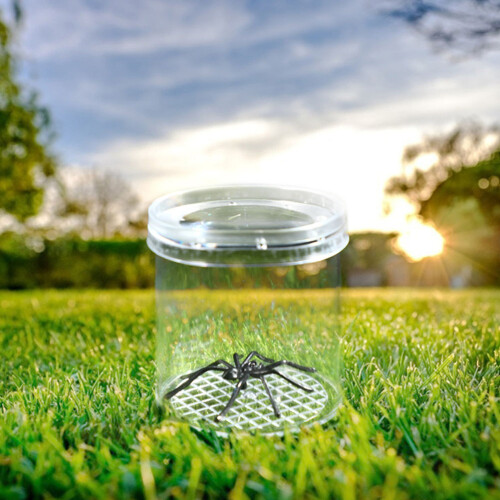 20Pcs Magnifying Boxes Cages Portable Critter Containers 1