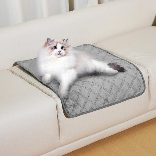 Nonslip Bottom Kitten Pads Polyester 2pcs 2