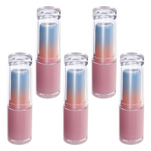 5 Pcs Lipstick Material Container Refillable Tubes