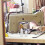 12 Stuks Precision Tip Lijmapplicator Flessen 4