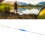 Angelschwimmer, leuchtender Nachtangelschwimmer, 12