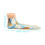 Anatomía Pie Plano Para Enseñanza Médica Color Beige 3