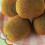 5Pcs Realistic Kiwifruit Decor Simulation Fruit Ornament for 5