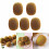 5Pcs Realistic Kiwifruit Decor Simulation Fruit Ornament for 2