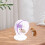 1Set Ruota Corsa Hamster PVC Viola Animali 5