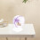 1Set Ruota Corsa Hamster PVC Viola Animali 7