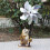 Garten-Außenstatue, Rasendekoration, Tierstatue für Terrasse, 7