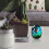 3D Mini Roos Epoxy Vuller Rood Plastic Decoratie Voor DIY 5