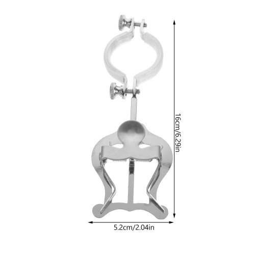 Accessoire Lyre Argenté Pour 2
