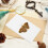 butterfly pinning board 3pcs specimen spreading display panel mounting 6